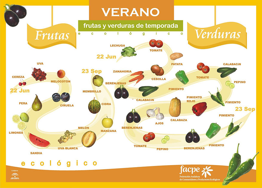 Frutas y verduras en Verano