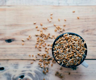 El germen es la parte del grano de trigo más nutritiva y su gran contenido en zinc ayuda a la belleza de la piel, uñas y pelo